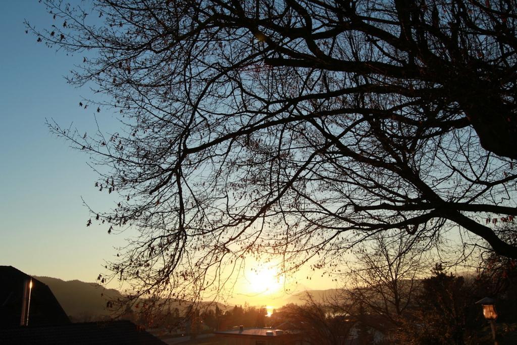 Ferienwohnungen Fiala-Koefer Pörtschach am Wörthersee Esterno foto