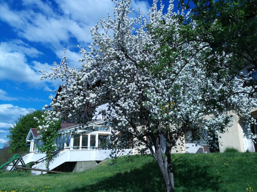 Ferienwohnungen Fiala-Koefer Pörtschach am Wörthersee Esterno foto